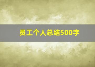 员工个人总结500字