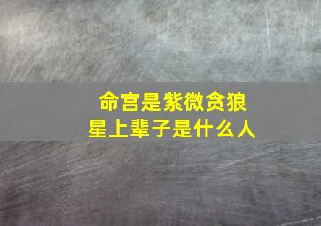 命宫是紫微贪狼星上辈子是什么人