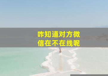 咋知道对方微信在不在线呢