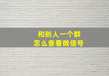 和别人一个群怎么查看微信号