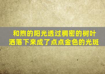 和煦的阳光透过稠密的树叶洒落下来成了点点金色的光斑