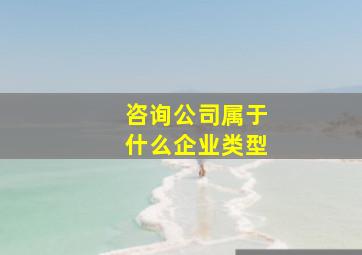 咨询公司属于什么企业类型