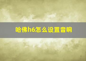 哈佛h6怎么设置音响