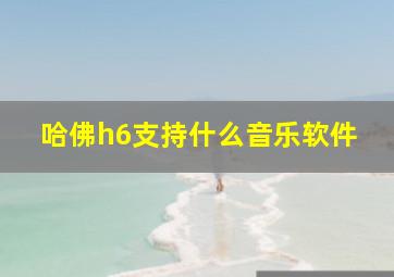 哈佛h6支持什么音乐软件