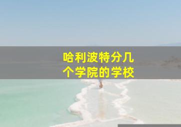 哈利波特分几个学院的学校