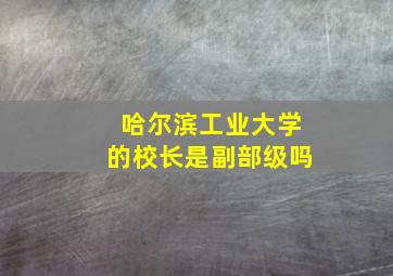 哈尔滨工业大学的校长是副部级吗