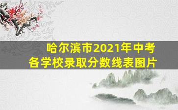 哈尔滨市2021年中考各学校录取分数线表图片