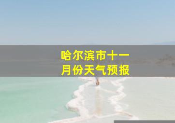 哈尔滨市十一月份天气预报