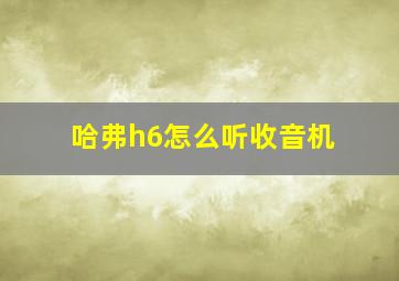 哈弗h6怎么听收音机