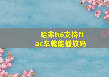 哈弗h6支持flac车载能播放吗