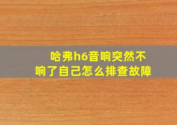 哈弗h6音响突然不响了自己怎么排查故障