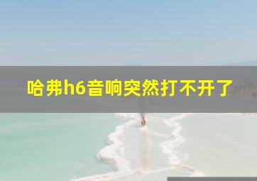 哈弗h6音响突然打不开了