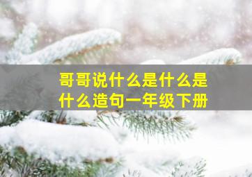 哥哥说什么是什么是什么造句一年级下册