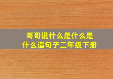 哥哥说什么是什么是什么造句子二年级下册