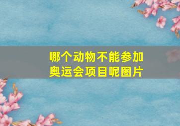 哪个动物不能参加奥运会项目呢图片