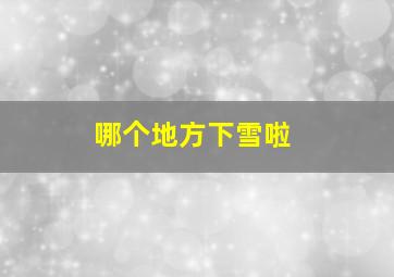 哪个地方下雪啦