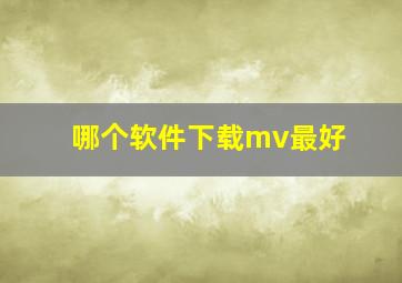 哪个软件下载mv最好