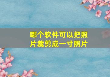 哪个软件可以把照片裁剪成一寸照片