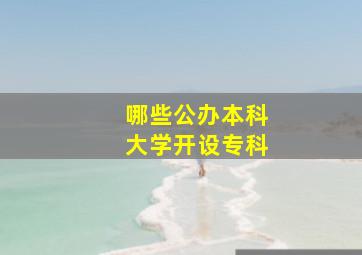 哪些公办本科大学开设专科