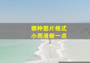 哪种图片格式小而清晰一点