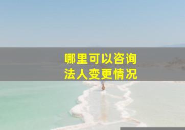 哪里可以咨询法人变更情况