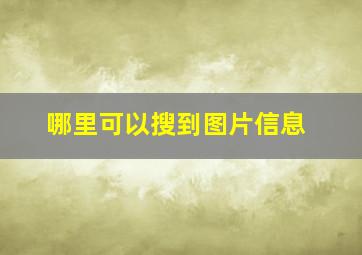 哪里可以搜到图片信息