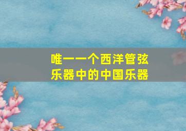 唯一一个西洋管弦乐器中的中国乐器