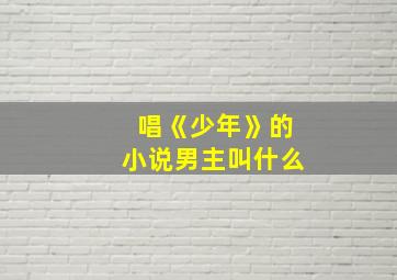 唱《少年》的小说男主叫什么