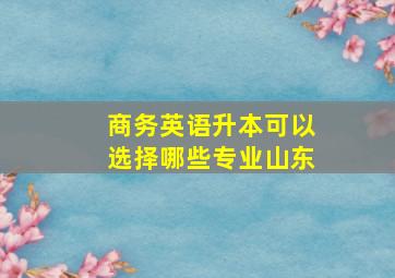 商务英语升本可以选择哪些专业山东