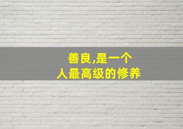 善良,是一个人最高级的修养