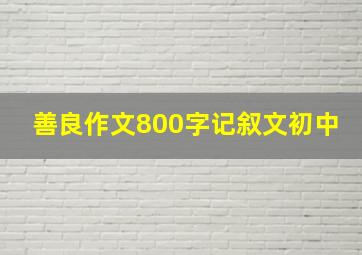 善良作文800字记叙文初中