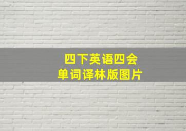 四下英语四会单词译林版图片