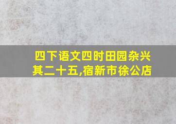 四下语文四时田园杂兴其二十五,宿新市徐公店