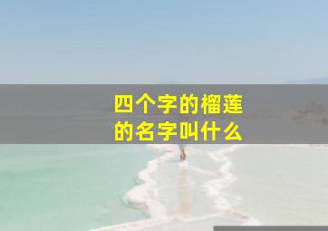 四个字的榴莲的名字叫什么