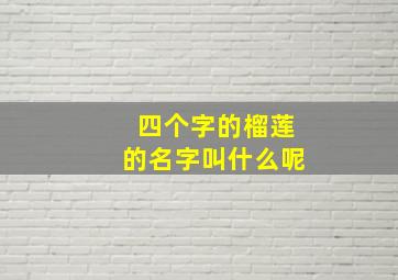 四个字的榴莲的名字叫什么呢