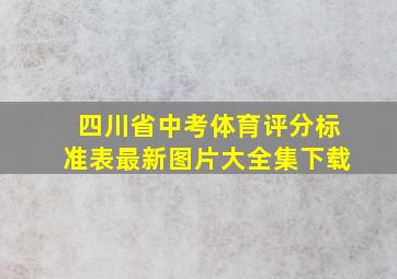 四川省中考体育评分标准表最新图片大全集下载