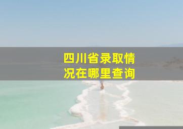 四川省录取情况在哪里查询