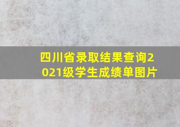 四川省录取结果查询2021级学生成绩单图片