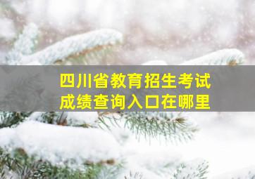 四川省教育招生考试成绩查询入口在哪里