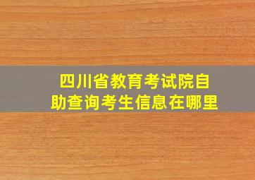 四川省教育考试院自助查询考生信息在哪里