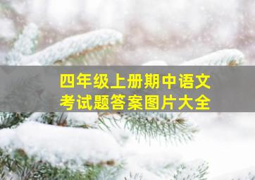 四年级上册期中语文考试题答案图片大全