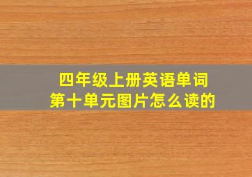 四年级上册英语单词第十单元图片怎么读的