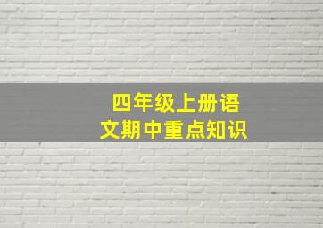 四年级上册语文期中重点知识