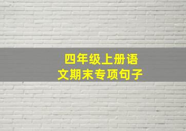 四年级上册语文期末专项句子