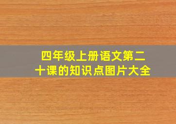 四年级上册语文第二十课的知识点图片大全