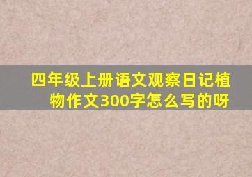 四年级上册语文观察日记植物作文300字怎么写的呀