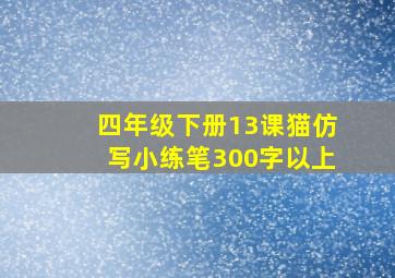 四年级下册13课猫仿写小练笔300字以上