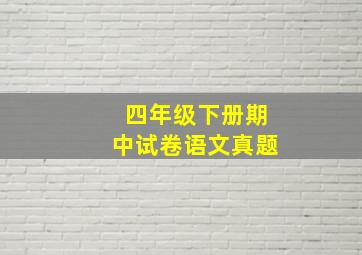 四年级下册期中试卷语文真题