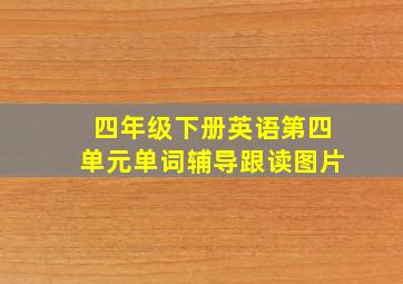 四年级下册英语第四单元单词辅导跟读图片