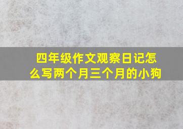 四年级作文观察日记怎么写两个月三个月的小狗